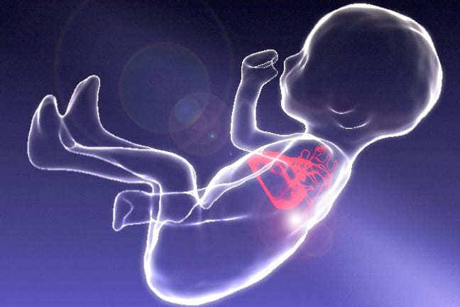Mississippi House Passes Bill to Ban Abortions When Unborn Baby’s Heartbeat Begins