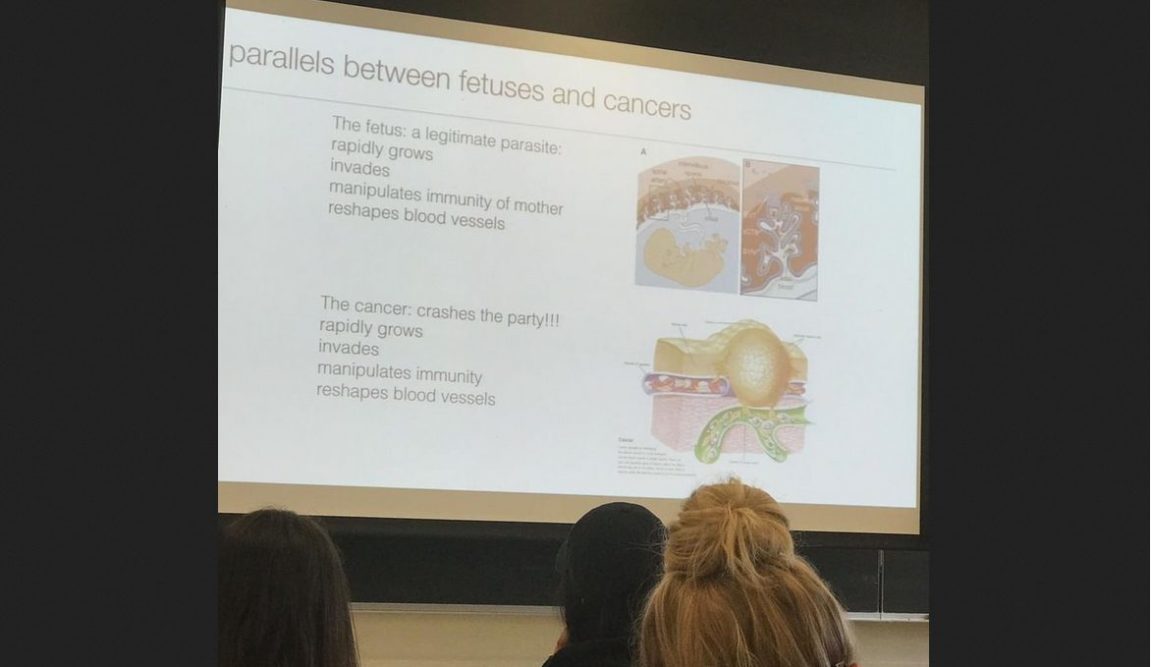 College Professor Teaching Future Doctors Compares Unborn Babies to Parasites