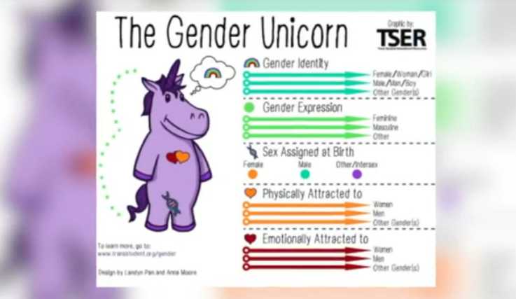 Teacher Issues ‘Gender Unicorn’ Handout to Students on First Day of School to Explain Why He Goes By ‘Mx’