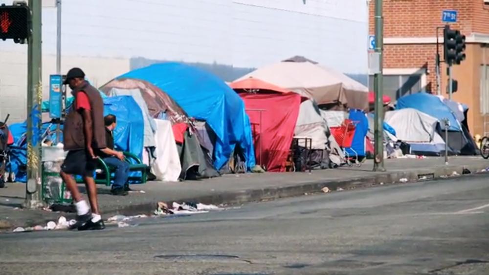 'Rats Have Taken Over the City': Los Angeles Homeless Crisis Reaches Epidemic Levels