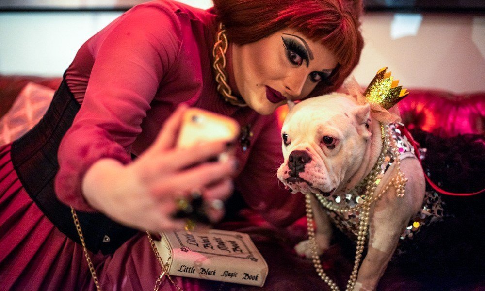 LGBTQ Folks Are Now Doing “Doggie Drag Shows”