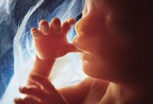 Missouri Pro-Life Law Saving Babies From Abortions Heads to Federal Appeals Court